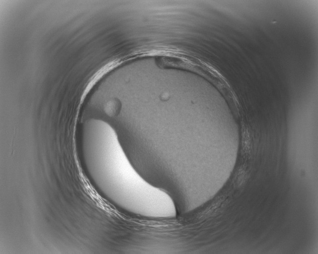 X0000085811138200703301518