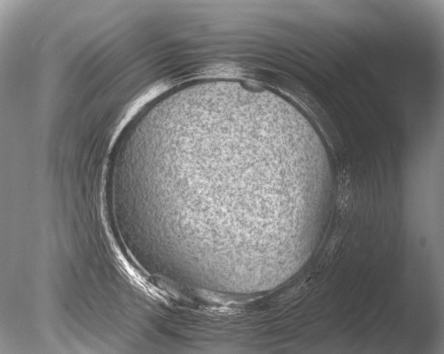 X0000085811139200703301518