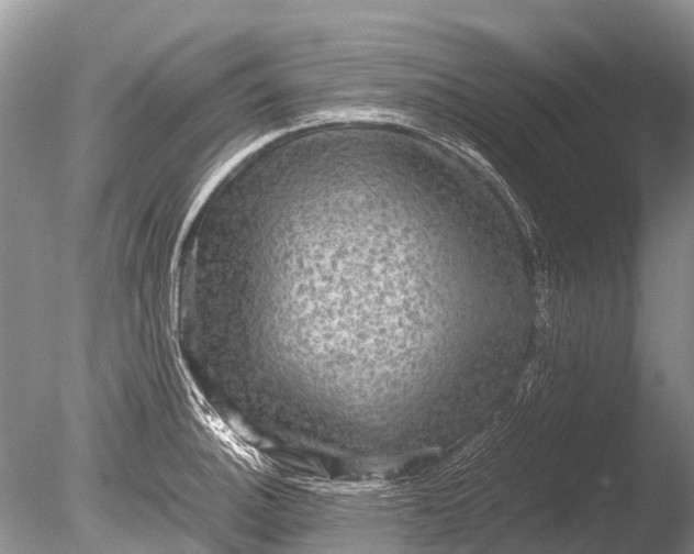 X0000085811140200703301518