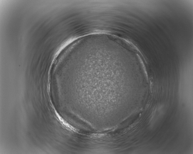 X0000085811143200703301518