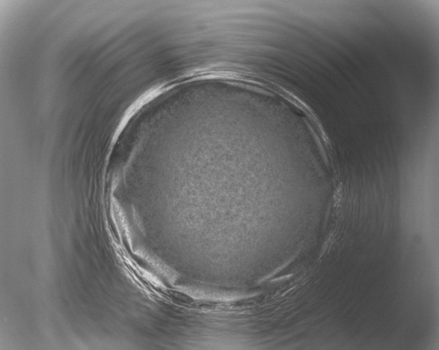 X0000085811146200703301518