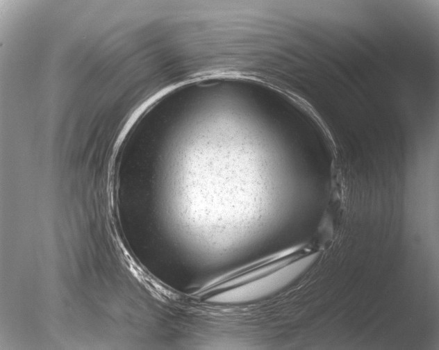 X0000085811148200703301518