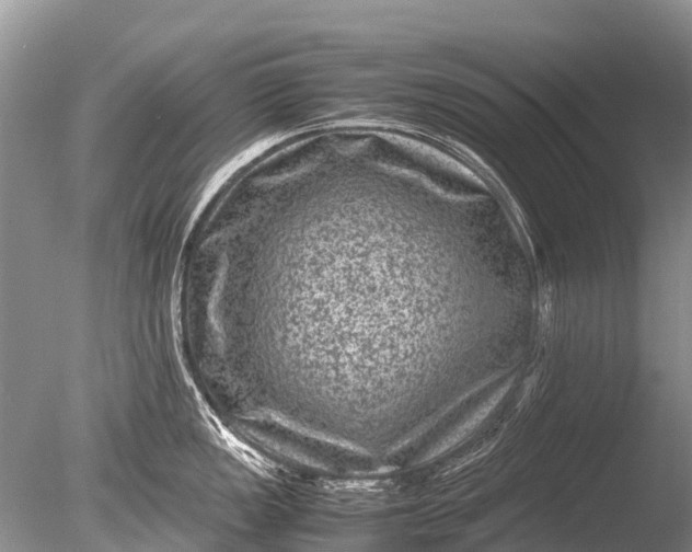 X0000085811149200703301518