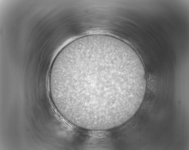 X0000085811150200703301518