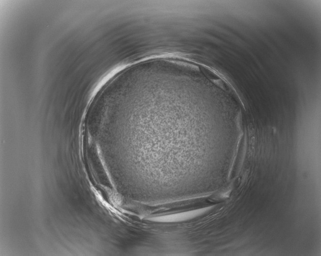 X0000085811151200703301518