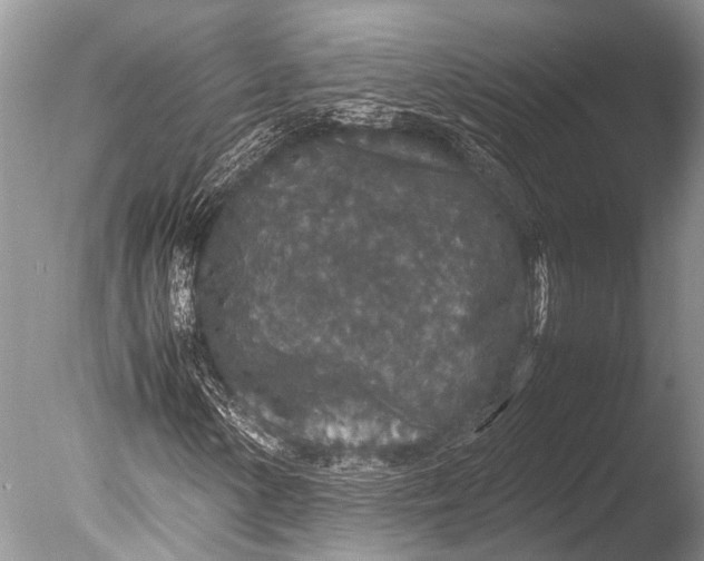 X0000085811154200703301517