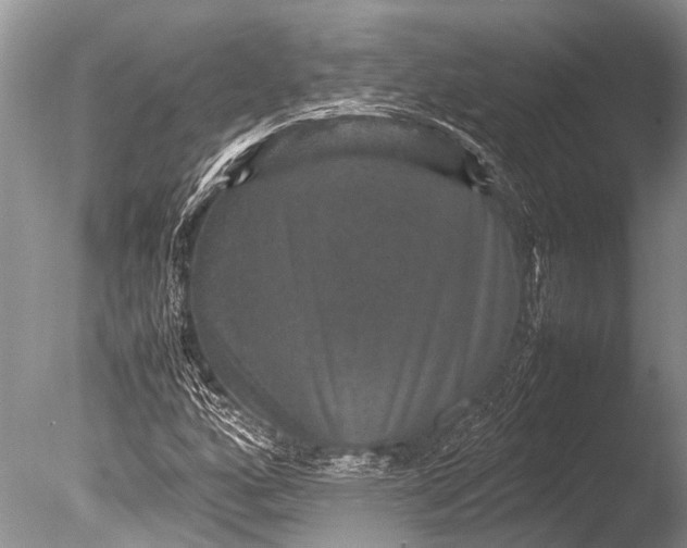 X0000085811160200703301517