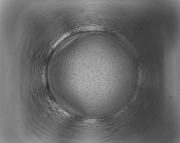 X0000085811162200703301517