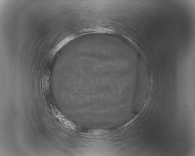 X0000085811163200703301517