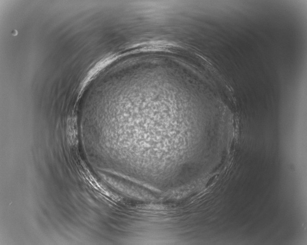 X0000085811164200703301517