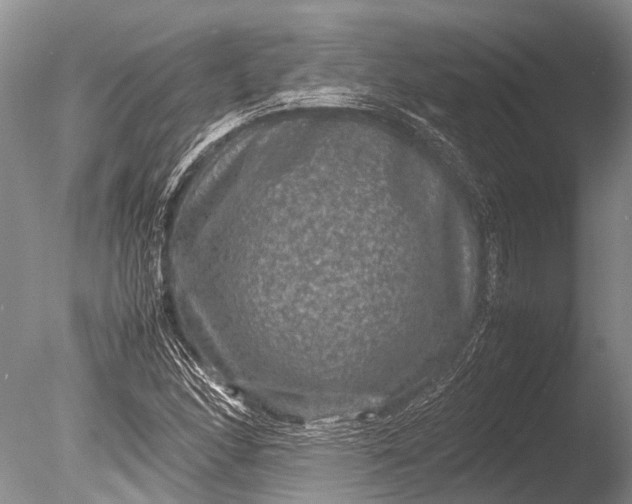 X0000085811166200703301517