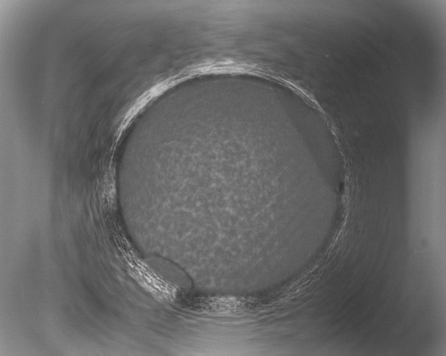 X0000085811167200703301517