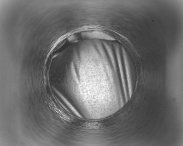 X0000085811168200703301517