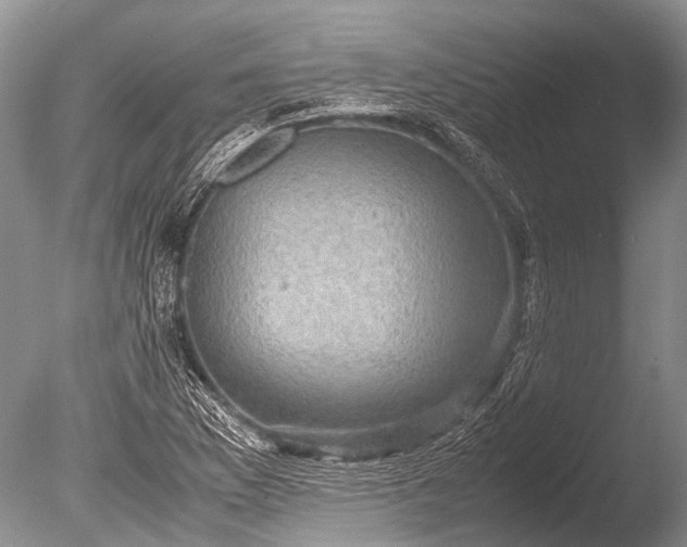 X0000085811169200703301517