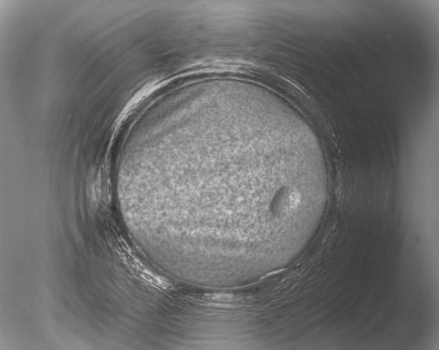 X0000085811172200703301517