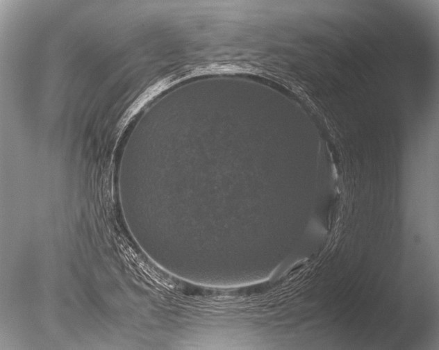 X0000085811173200703301517