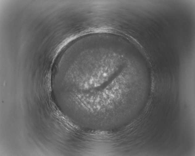 X0000085811174200703301517