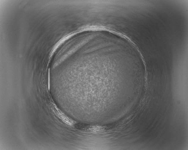 X0000085811175200703301517