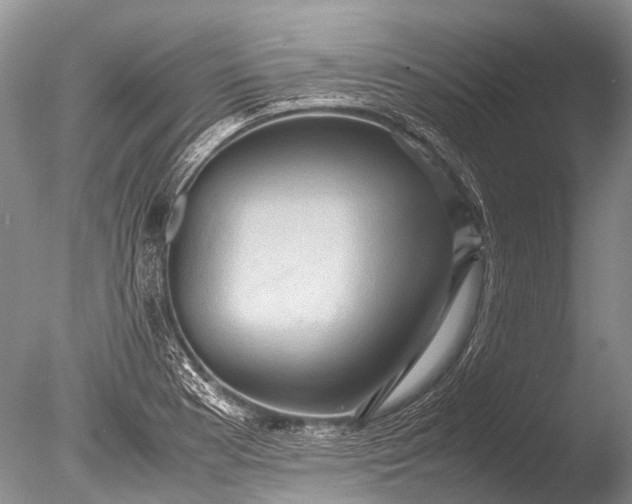 X0000085811177200703301517