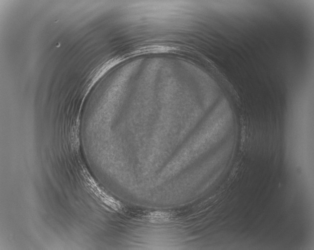 X0000085811178200703301517