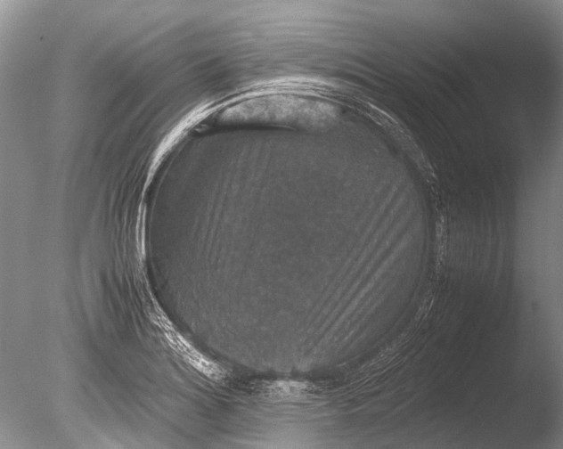 X0000085811180200703301517