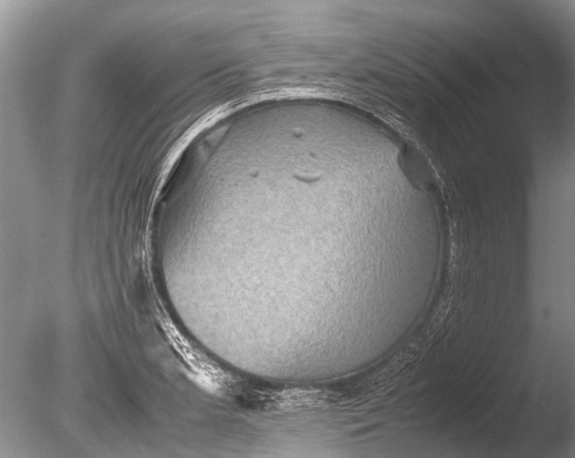 X0000085811181200703301517