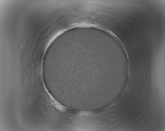 X0000085811183200703301517