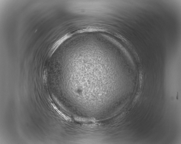 X0000085811185200703301517