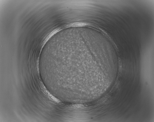 X0000085811186200703301517