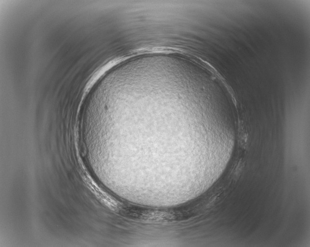 X0000085811187200703301517