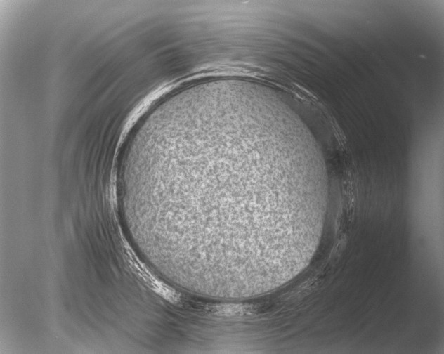 X0000085811188200703301517