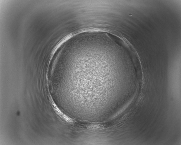 X0000085811189200703301517