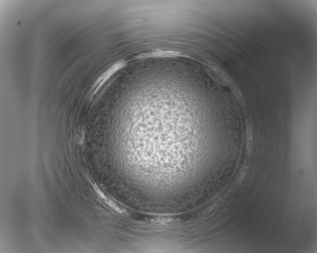 X0000085811193200703301517