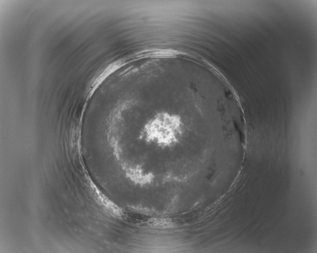 X0000085811194200703301517