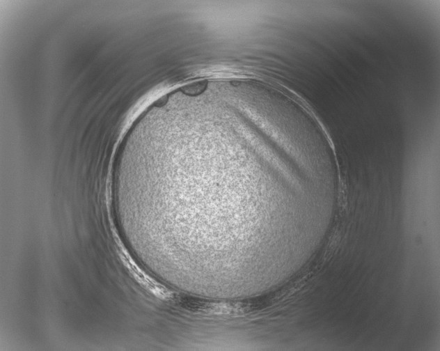 X0000085811195200703301517