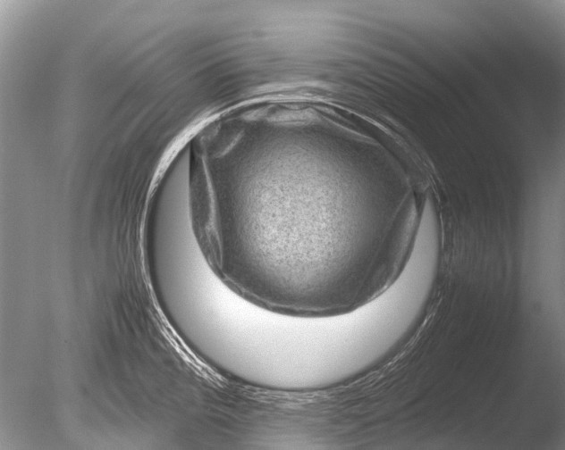 X0000085811196200703301517