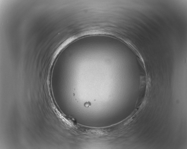 X0000085811197200703301517