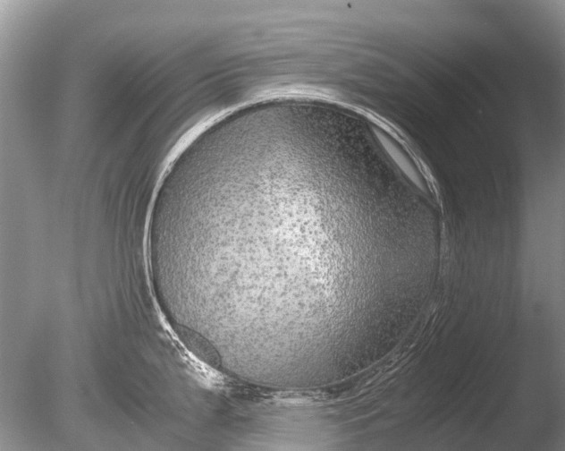 X0000085811199200703301517