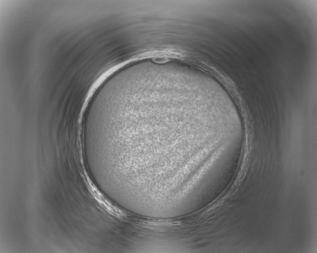 X0000085811200200703301517