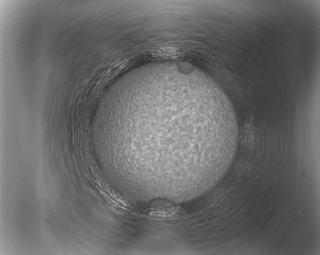 X0000085811201200703301516