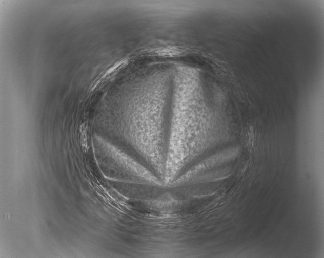 X0000085811205200703301516