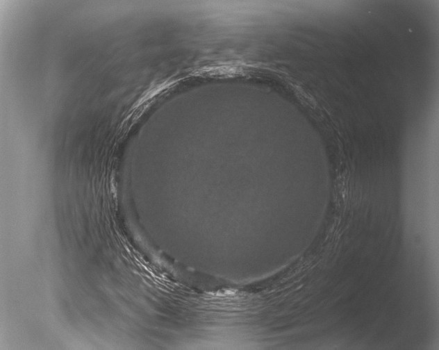 X0000085811206200703301516