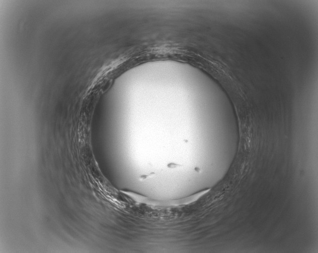 X0000085811207200703301516