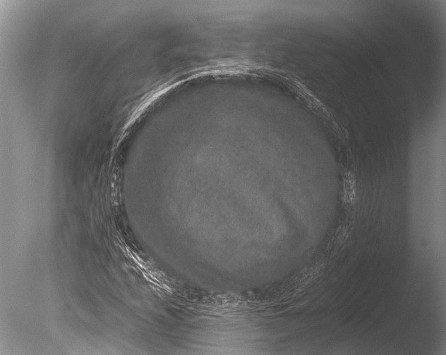 X0000085811208200703301516