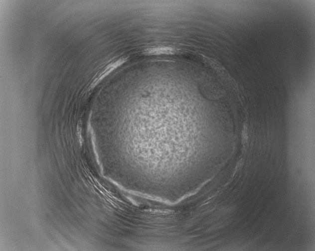 X0000085811209200703301516