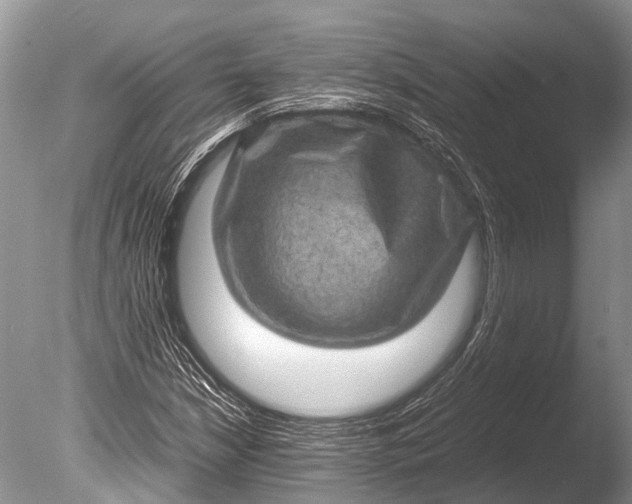 X0000085811210200703301516