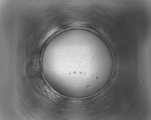 X0000085811211200703301516