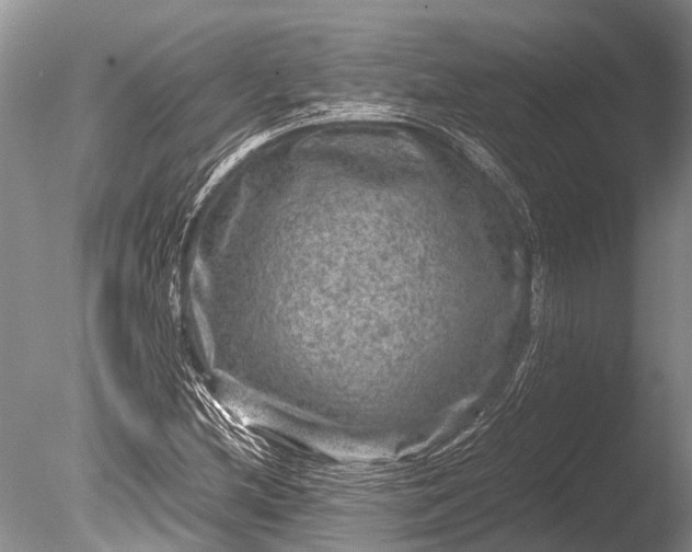 X0000085811212200703301516