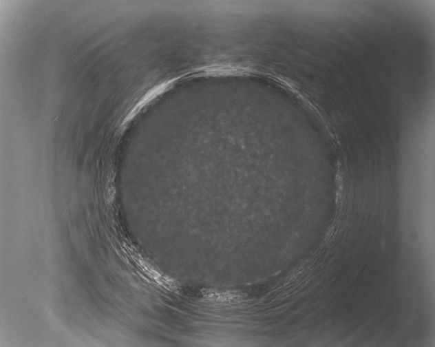 X0000085811213200703301516