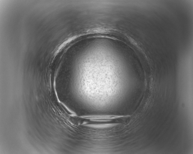 X0000085811214200703301516